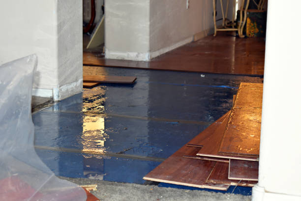 Professional Basement Flood Cleanup technician working in Lake Andes, SD